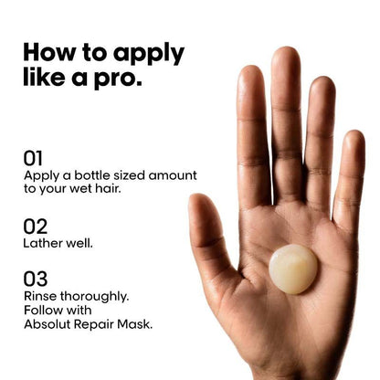 L'Oréal Professionnel Absolut Repair Shampoo & Hair Mask Combo, Serie Expert