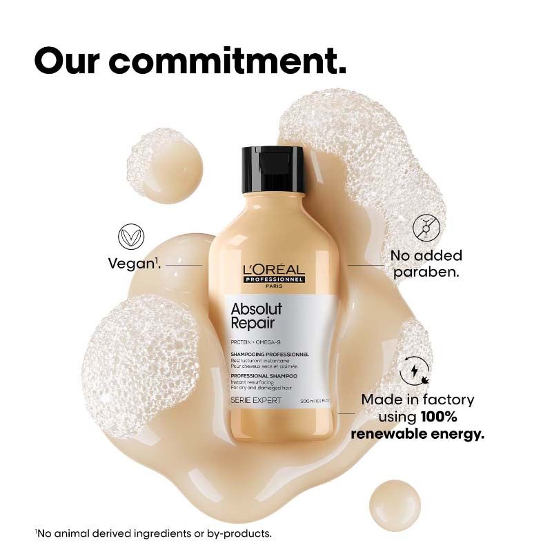 L'Oréal Professionnel Absolut Repair Shampoo & Hair Mask Combo, Serie Expert