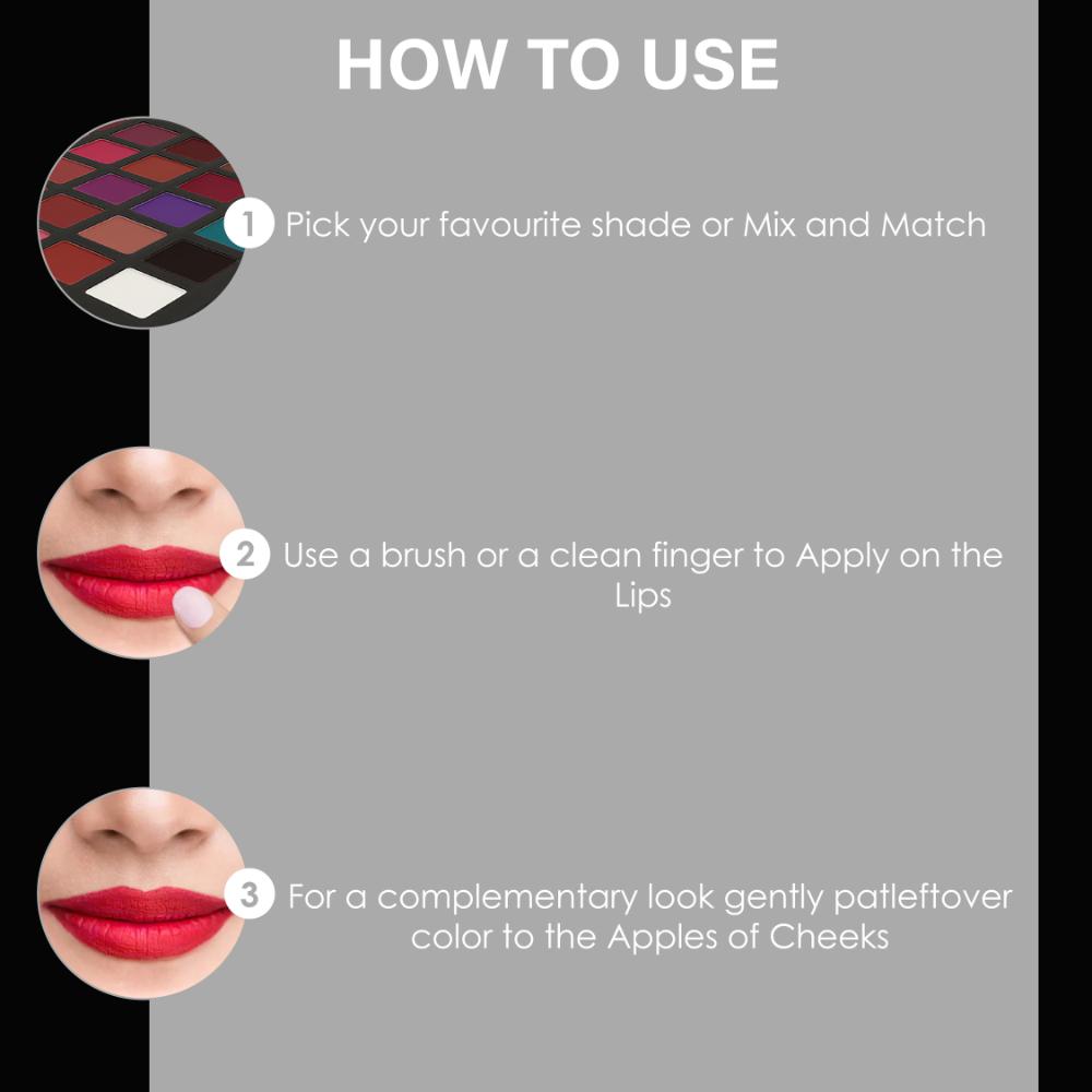 Shills Exclusive Pro Lip Palette
(25g)