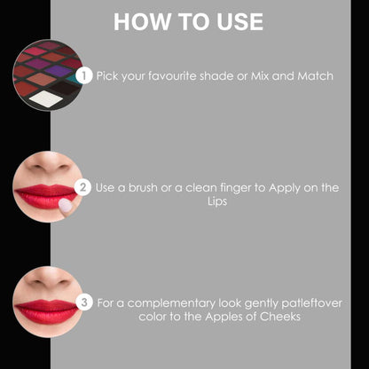 Shills Exclusive Pro Lip Palette
(25g)