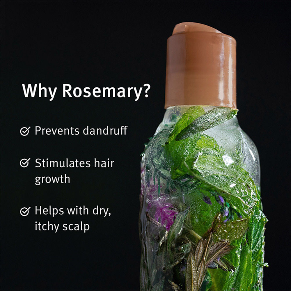 Aveda Rosemary Mint 2 Step Routine - Shampoo & Conditioner Combo
(500ml)