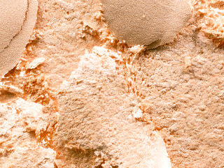 M.A.C Extra Dimension Skinfinish
(9gm)
