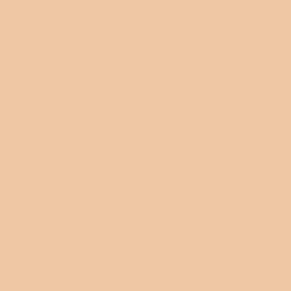 Armani Beauty Power Fabric + Setting Powder - Shade 01
(9.4g)