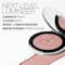 NARS Light Reflecting Luminizing Powder (6 g)